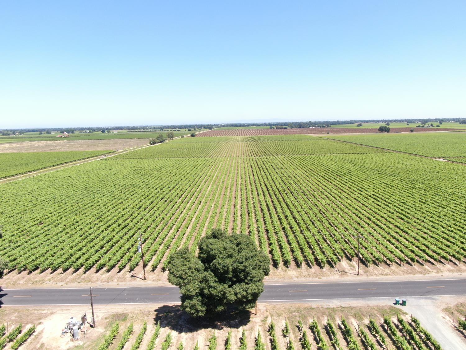 20860 Devries Road Lodi, CA 95242 - Photo 5 of 7