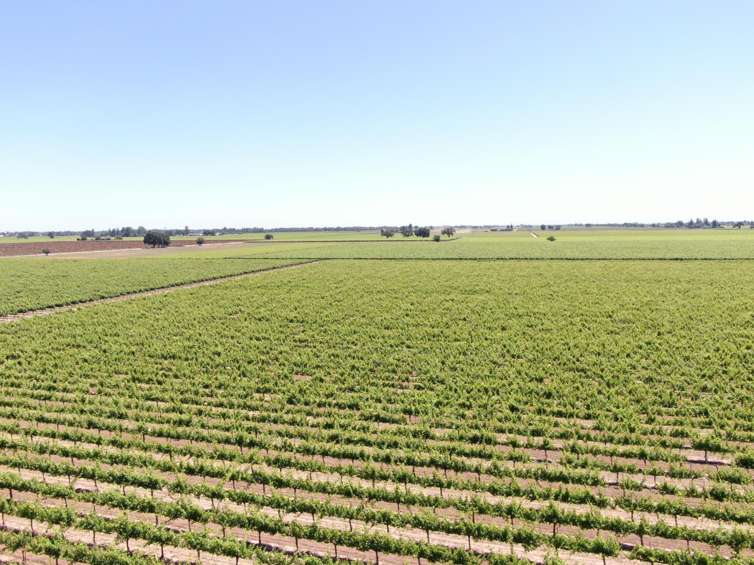 20860 Devries Road Lodi, CA 95242 - Photo 7 of 7