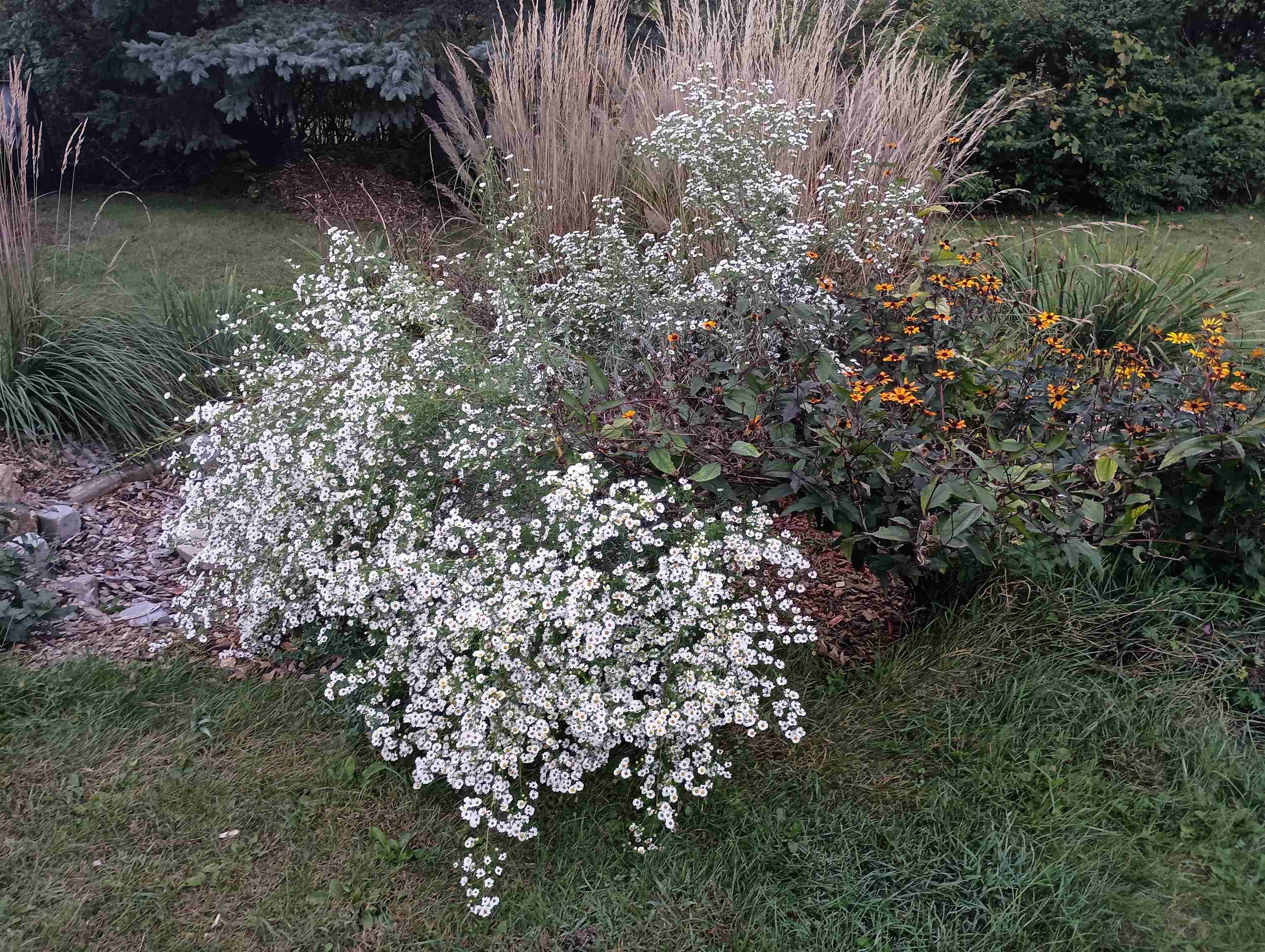 S4331 Draper Street Baraboo, WI 53913 - Photo 37 of 49