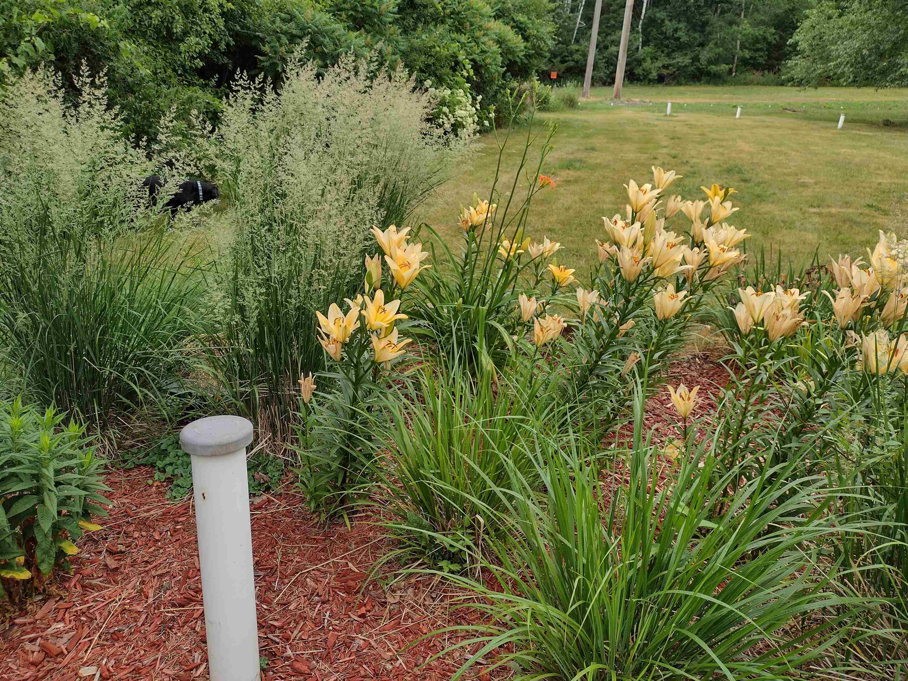 S4331 Draper Street Baraboo, WI 53913 - Photo 38 of 49