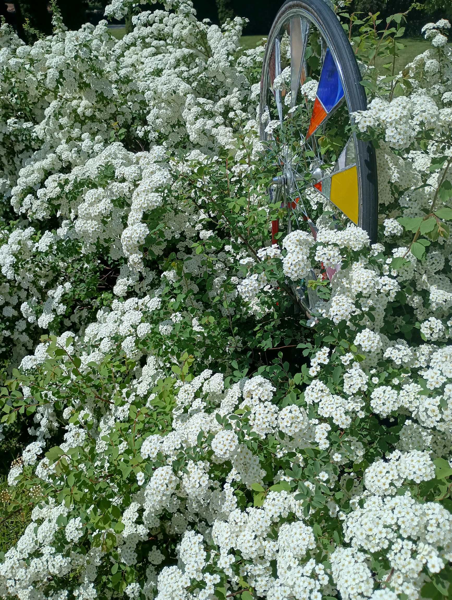 S4331 Draper Street Baraboo, WI 53913 - Photo 39 of 49