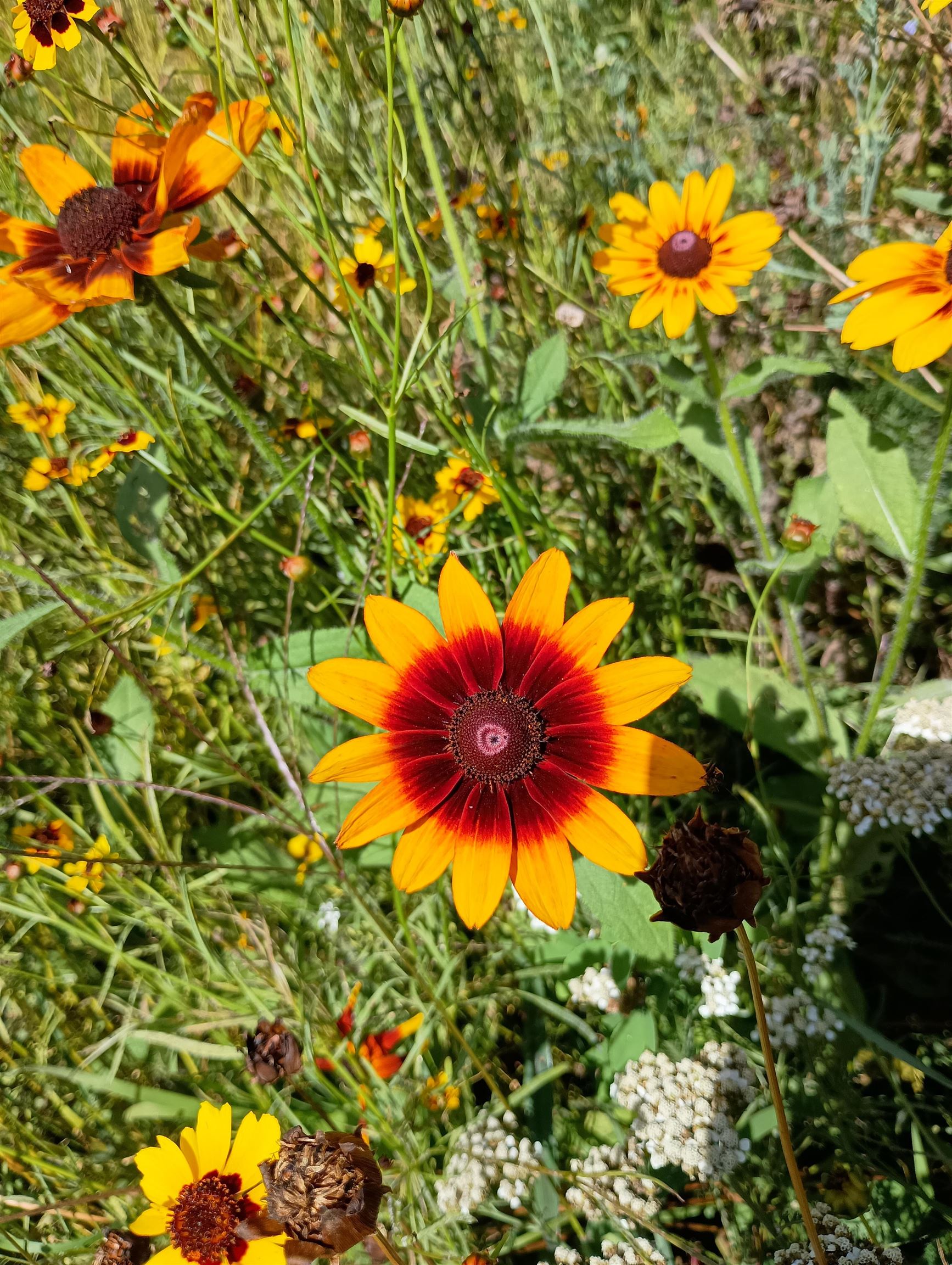 S4331 Draper Street Baraboo, WI 53913 - Photo 42 of 49