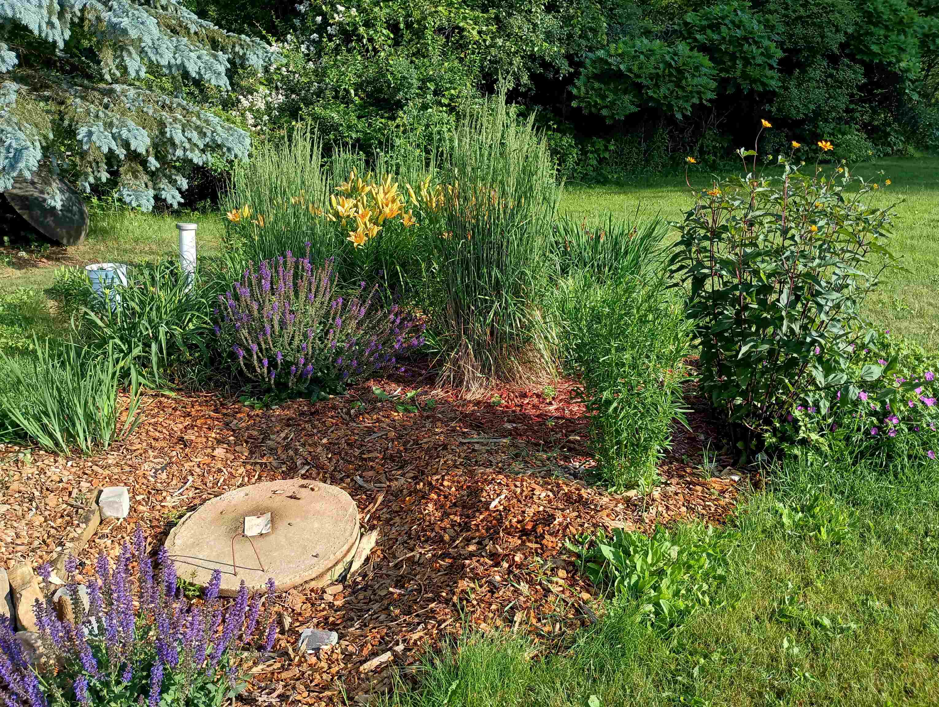 S4331 Draper Street Baraboo, WI 53913 - Photo 46 of 49