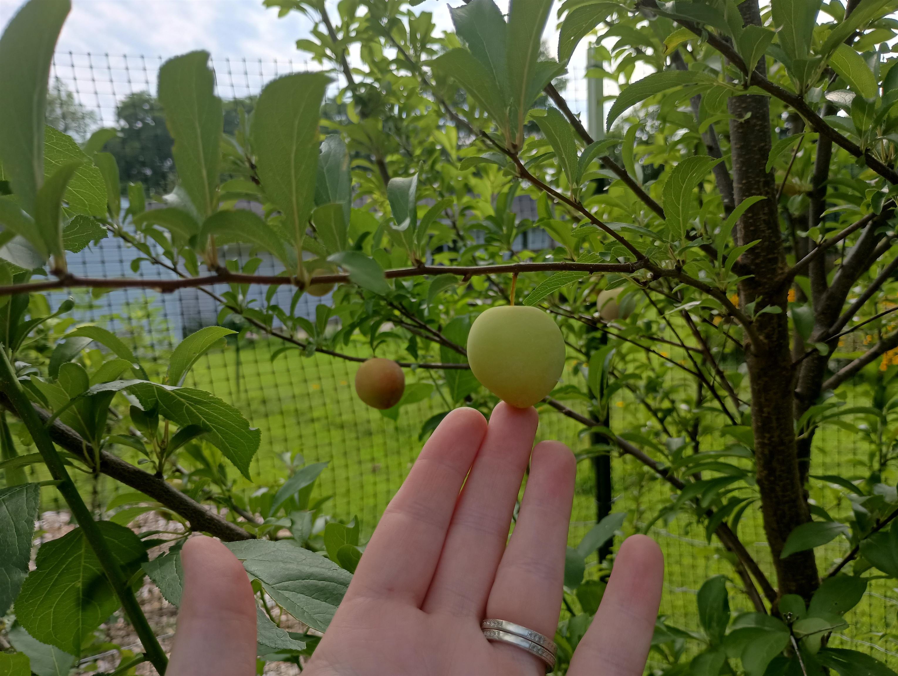 S4331 Draper Street Baraboo, WI 53913 - Photo 47 of 49