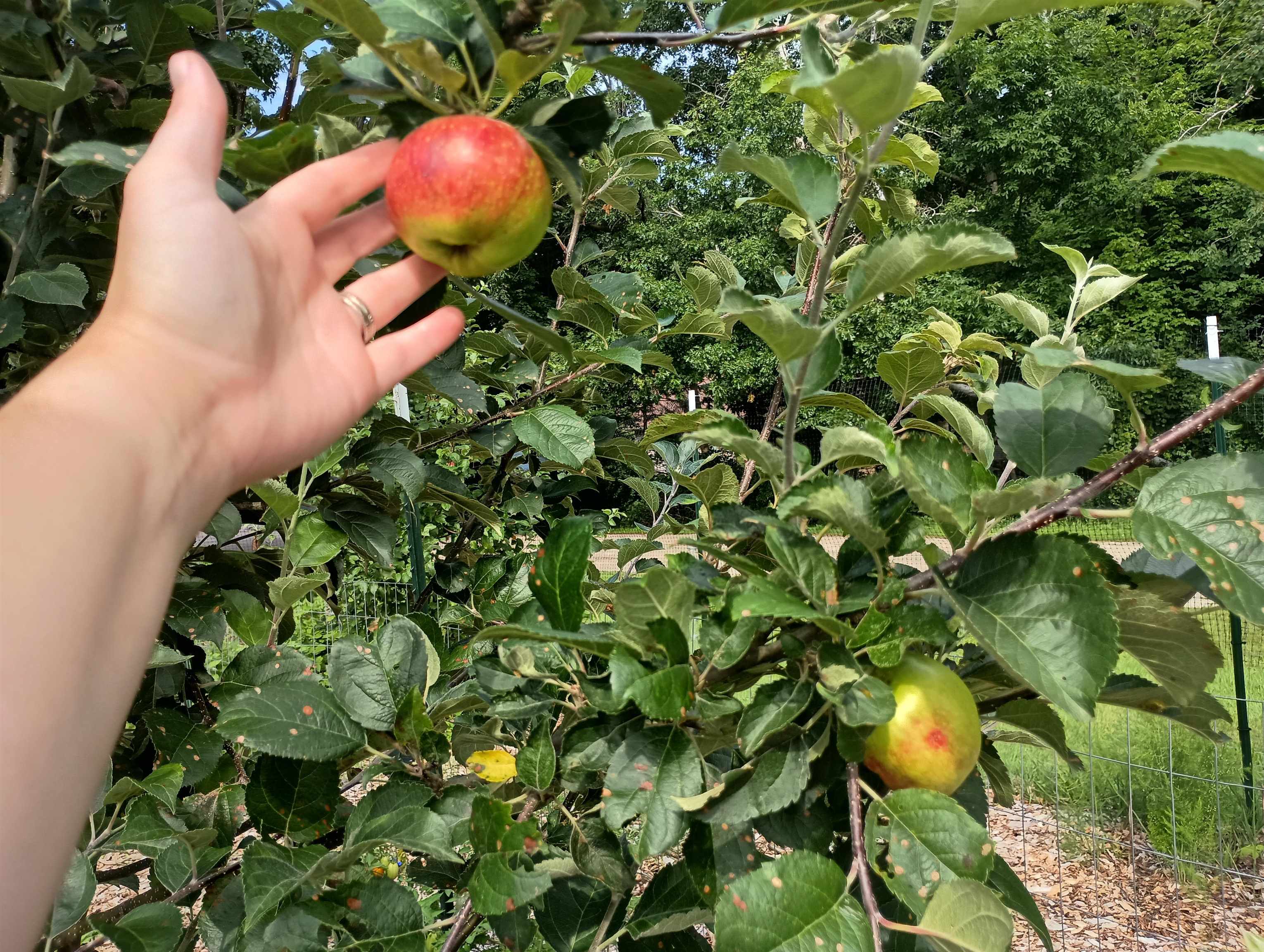 S4331 Draper Street Baraboo, WI 53913 - Photo 48 of 49