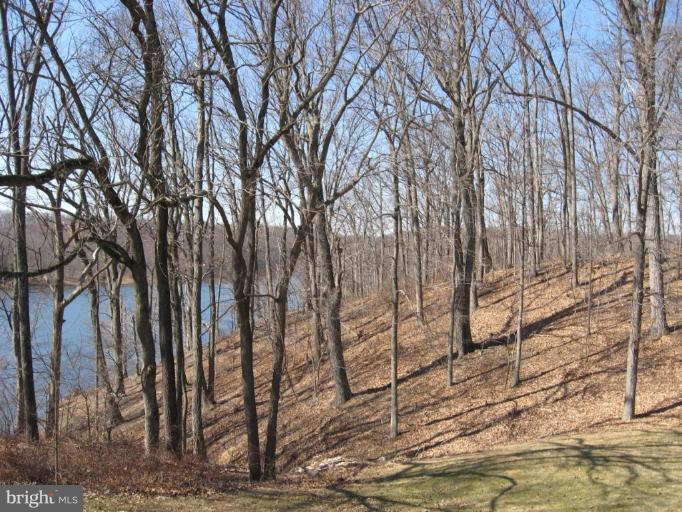 20604 Top Ridge Drive Boyds, MD 20841 - Photo 2 of 12 Tranquil lake view