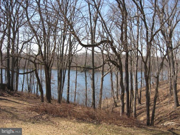 20604 Top Ridge Drive Boyds, MD 20841 - Photo 3 of 12 View from your backyard!