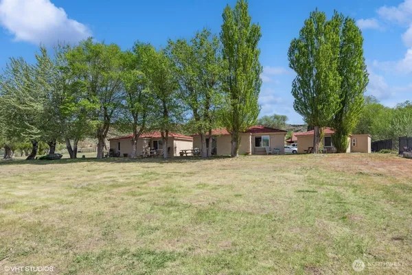 a view of a garden with large trees