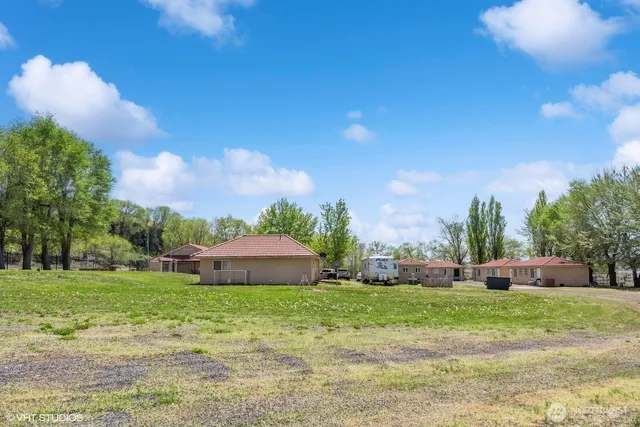 a view of a garden with large trees