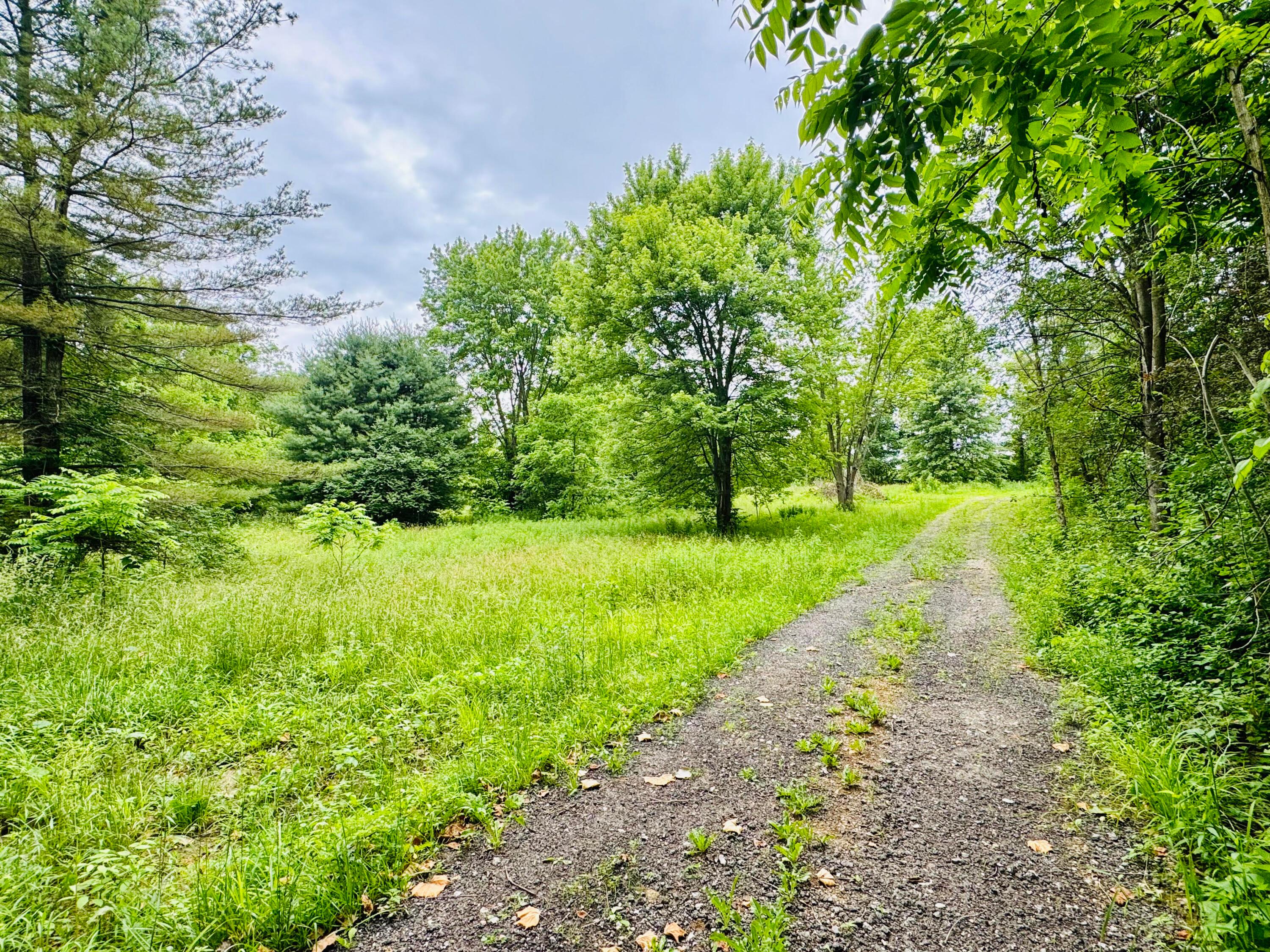 0 Blacklick Road Northwest Baltimore, OH 43105 - Photo 8 of 12 4