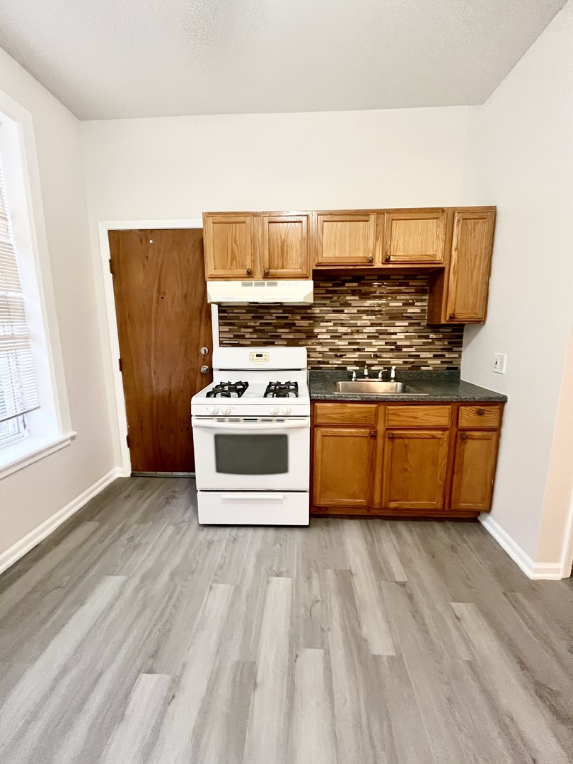 3227 South Carpenter Street, Unit 1M Chicago, IL 60608 - Photo 3 of 14