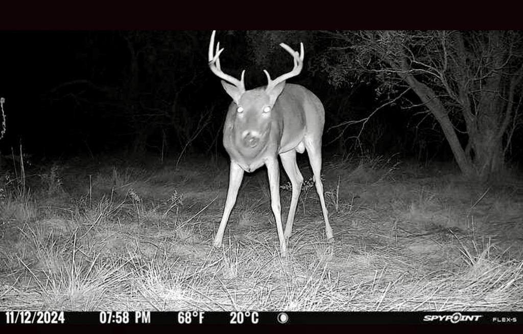 2055 County Road 472 Rochelle, TX 76872 - Photo 8 of 24