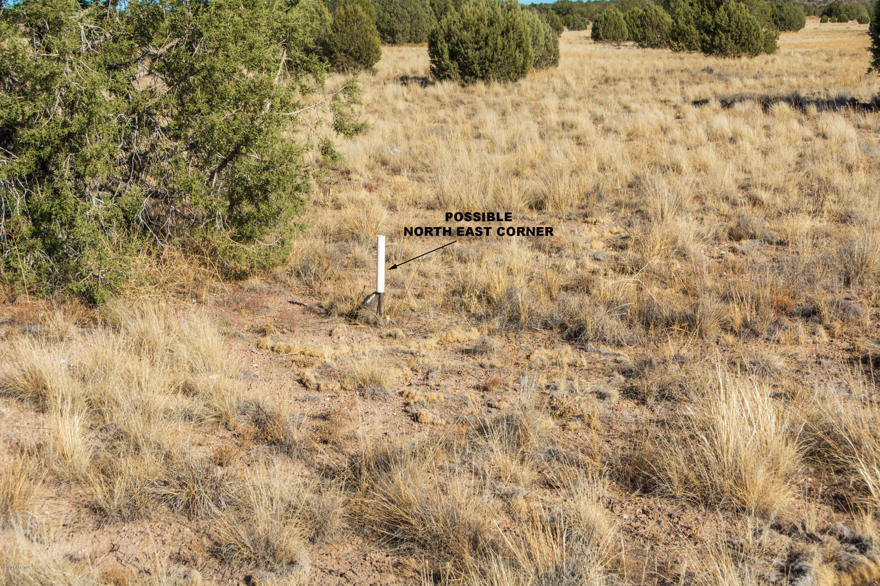 1120 East Cougar Ridge Road Paulden, AZ 86334 - Photo 17 of 26 DSC_9369