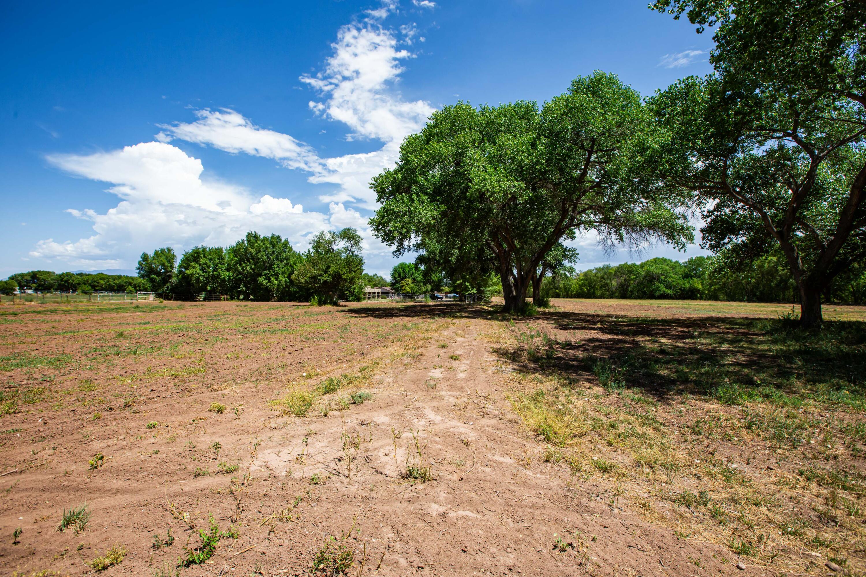 2226 Paul Road Southwest Albuquerque, NM 87105 - Photo 18 of 21 Gallery Image 18