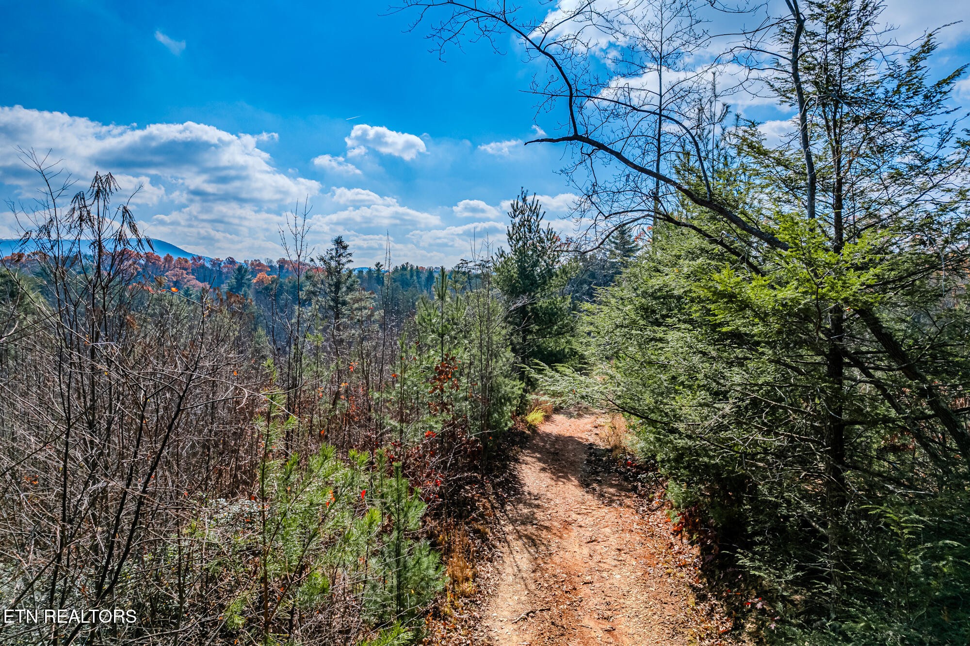 0 Pond Ridge Road Tellico Plains, TN 37385 - Photo 28 of 32