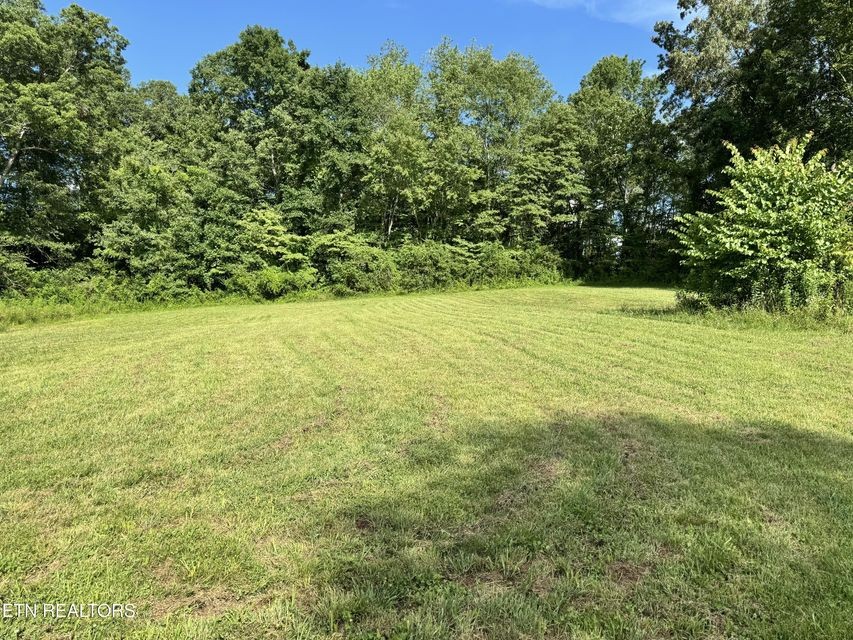 1353 Roy Owens Road Jamestown, TN 38556 - Photo 12 of 29