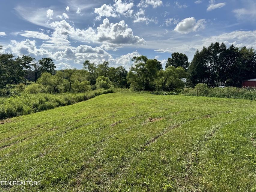 1353 Roy Owens Road Jamestown, TN 38556 - Photo 13 of 29