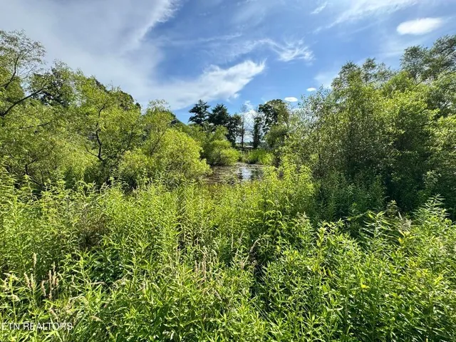 $349,900 | 1353 Roy Owens Road, Jamestown, TN 38556