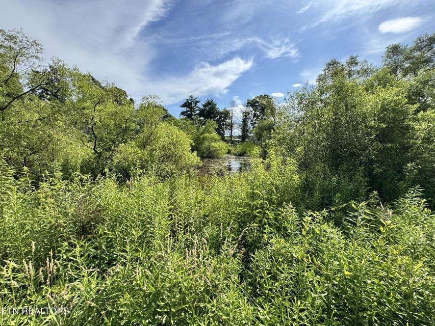 1353 Roy Owens Road Jamestown, TN 38556 - Photo 9 of 29