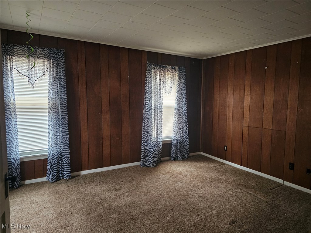 2415 Columbiana Road New Springfield, OH 44443 - Photo 19 of 25 Carpeted spare room with plenty of natural light and wood walls
