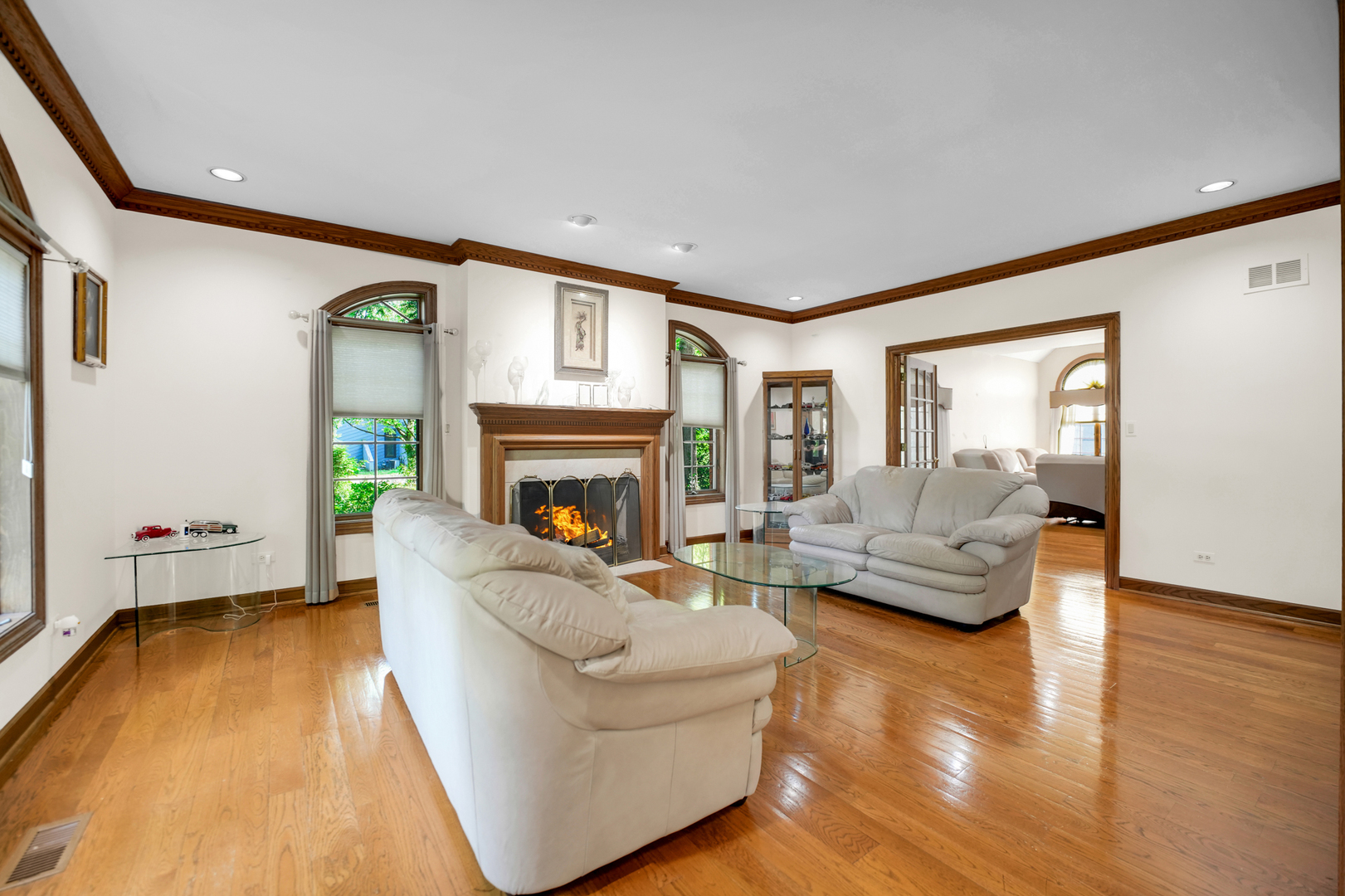 1816 Princeton Road Flossmoor, IL 60422 - Photo 9 of 26 a living room with furniture and a fireplace