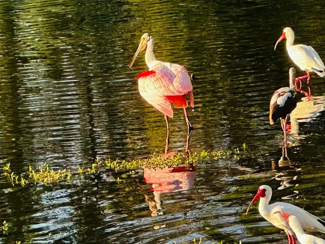 $169,000 | 9613 Midiron Court, Unit 39A, New Port Richey, FL 34655