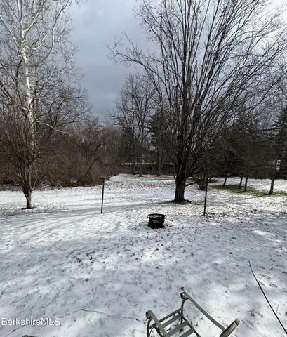 a view of a yard with trees