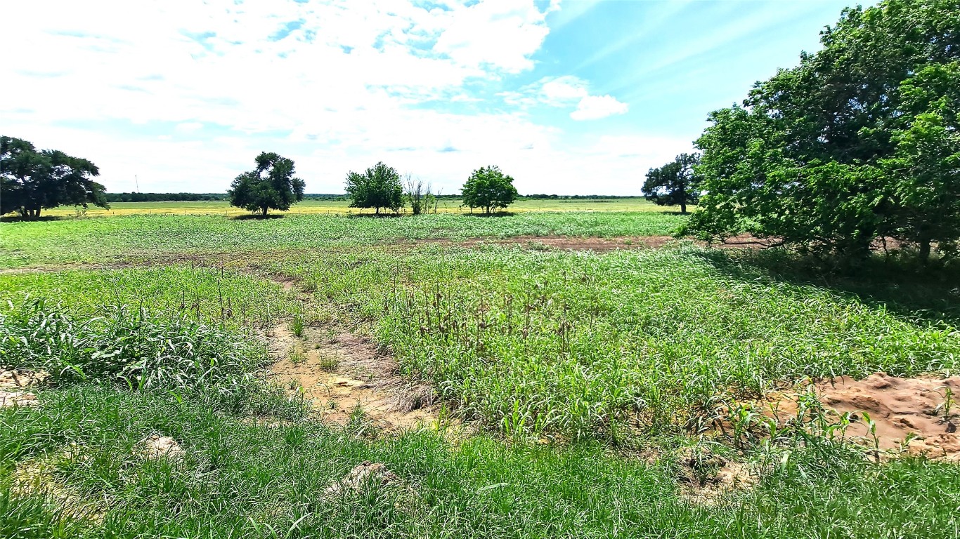 3 County Road 432 Road Thorndale, TX 76577 - Photo 4 of 4