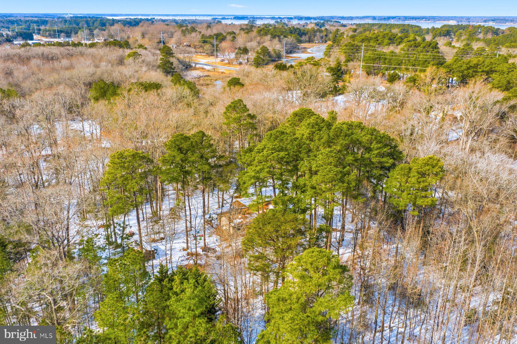 5675 Mt Holly Road East New Market, MD 21631 - Photo 27 of 33