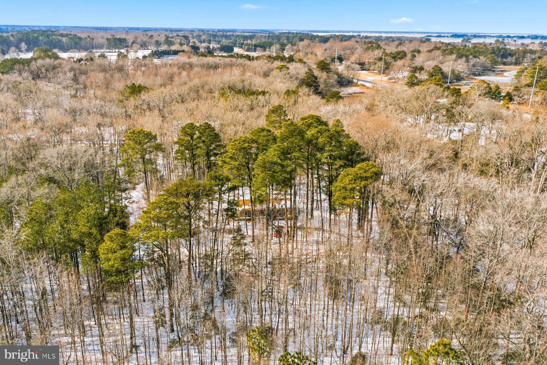 5675 Mt Holly Road East New Market, MD 21631 - Photo 28 of 33