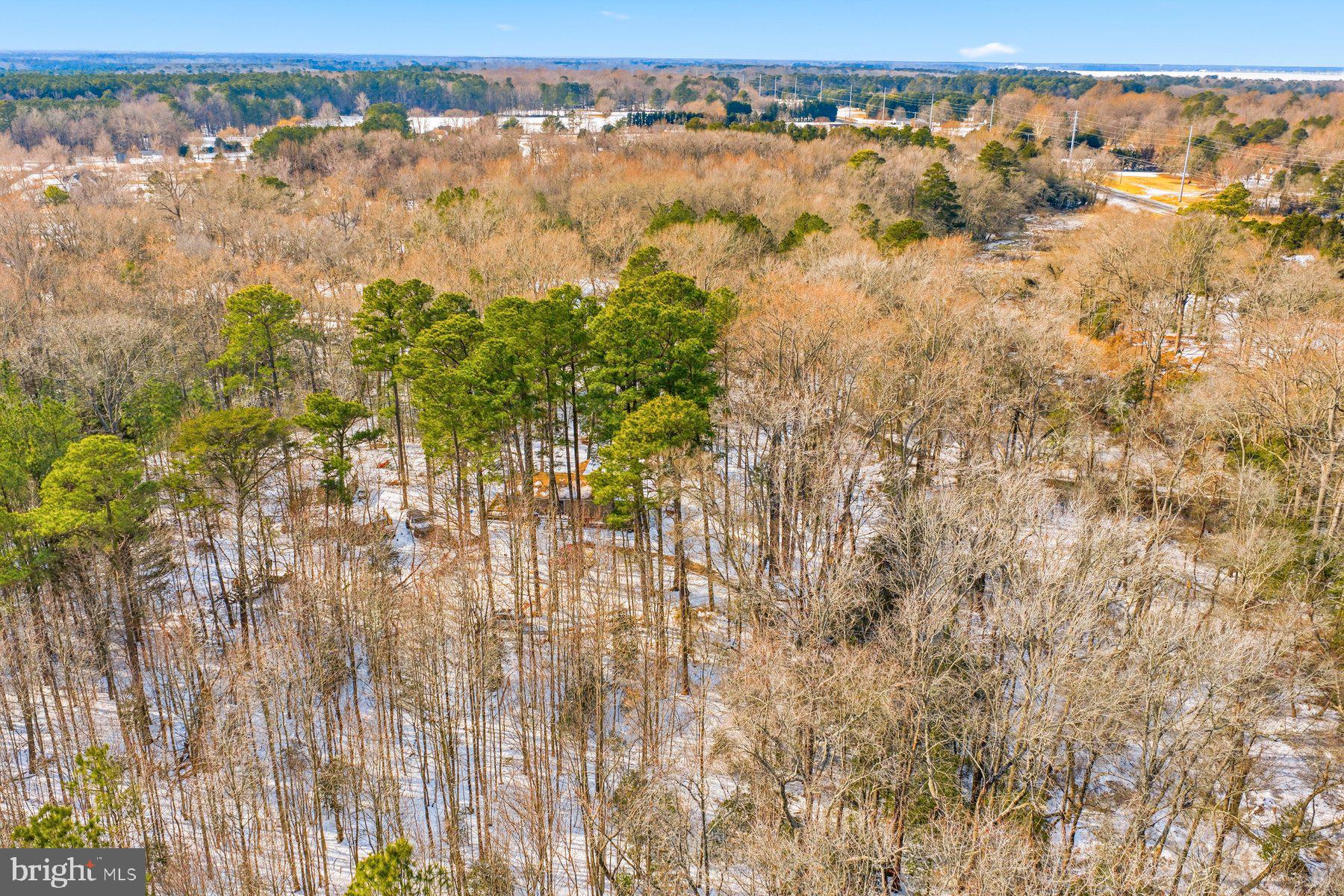 5675 Mt Holly Road East New Market, MD 21631 - Photo 29 of 33