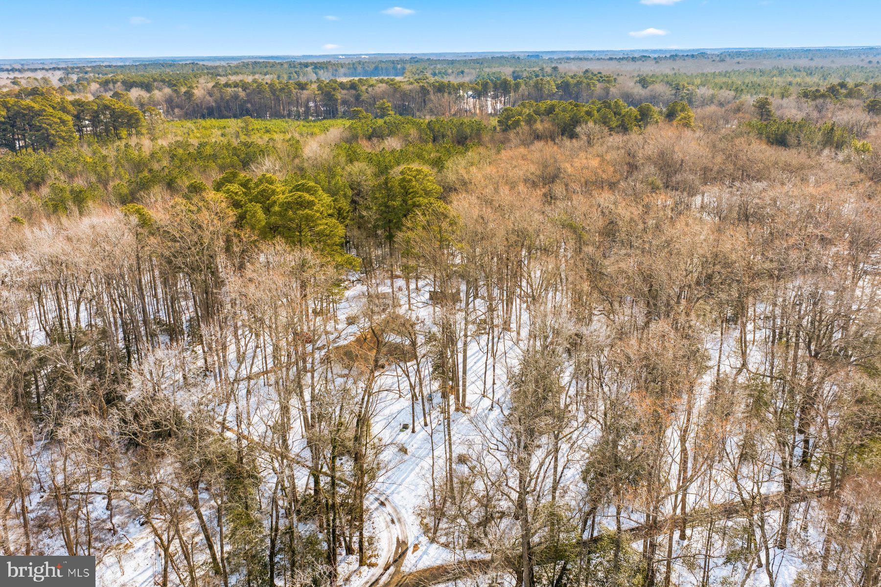 5675 Mt Holly Road East New Market, MD 21631 - Photo 30 of 33
