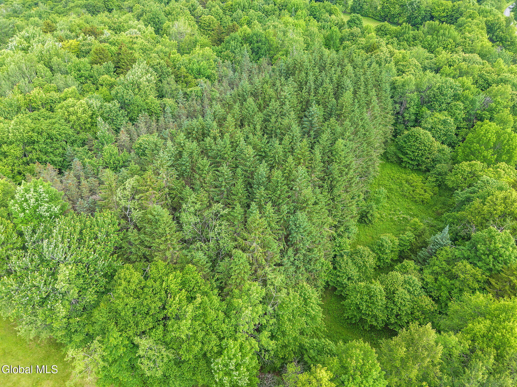 615 Arabia Road Summit, NY 12175 - Photo 44 of 51 44-615ArabiaRd_44