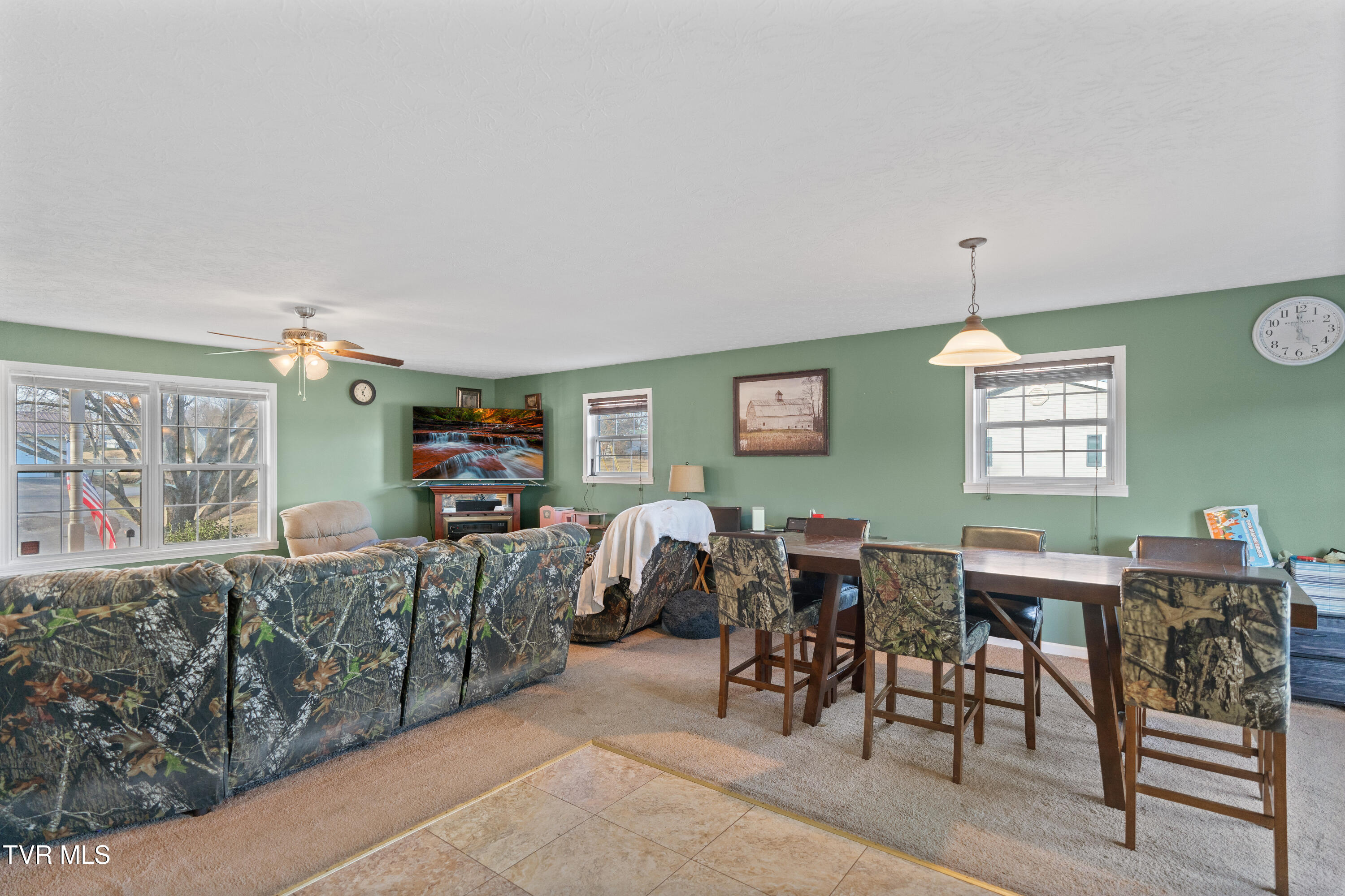 600 Old Snapps Ferry Road Chuckey, TN 37641 - Photo 20 of 24 DSC05322