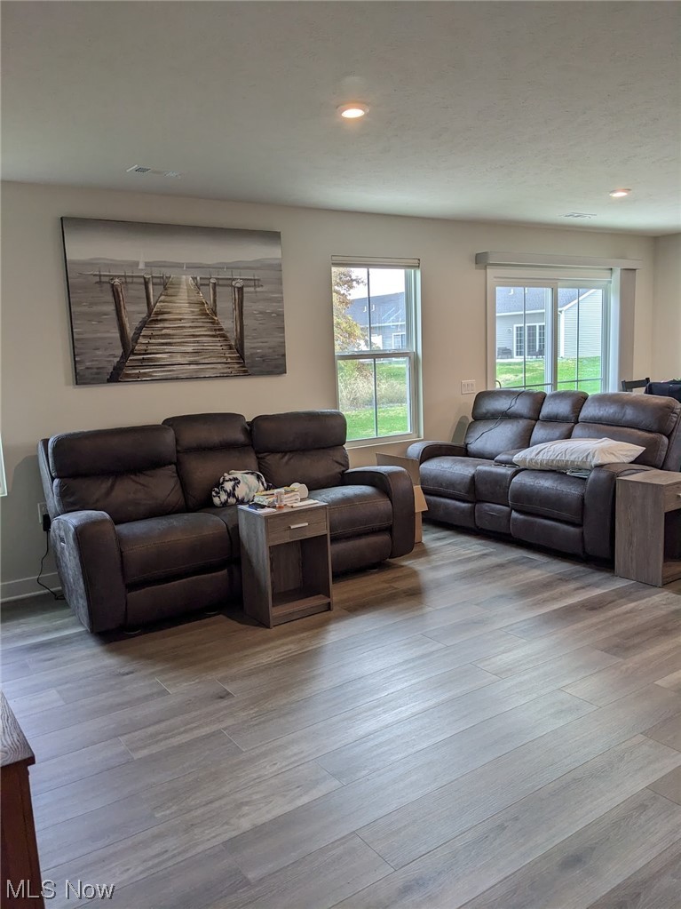 174 West Spring Drive Elyria, OH 44035 - Photo 3 of 19 Living room featuring light hardwood / wood-style floors