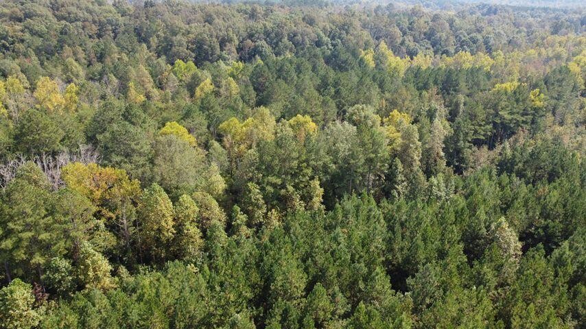 15 Athens Road Delano, TN 37325 - Photo 17 of 19