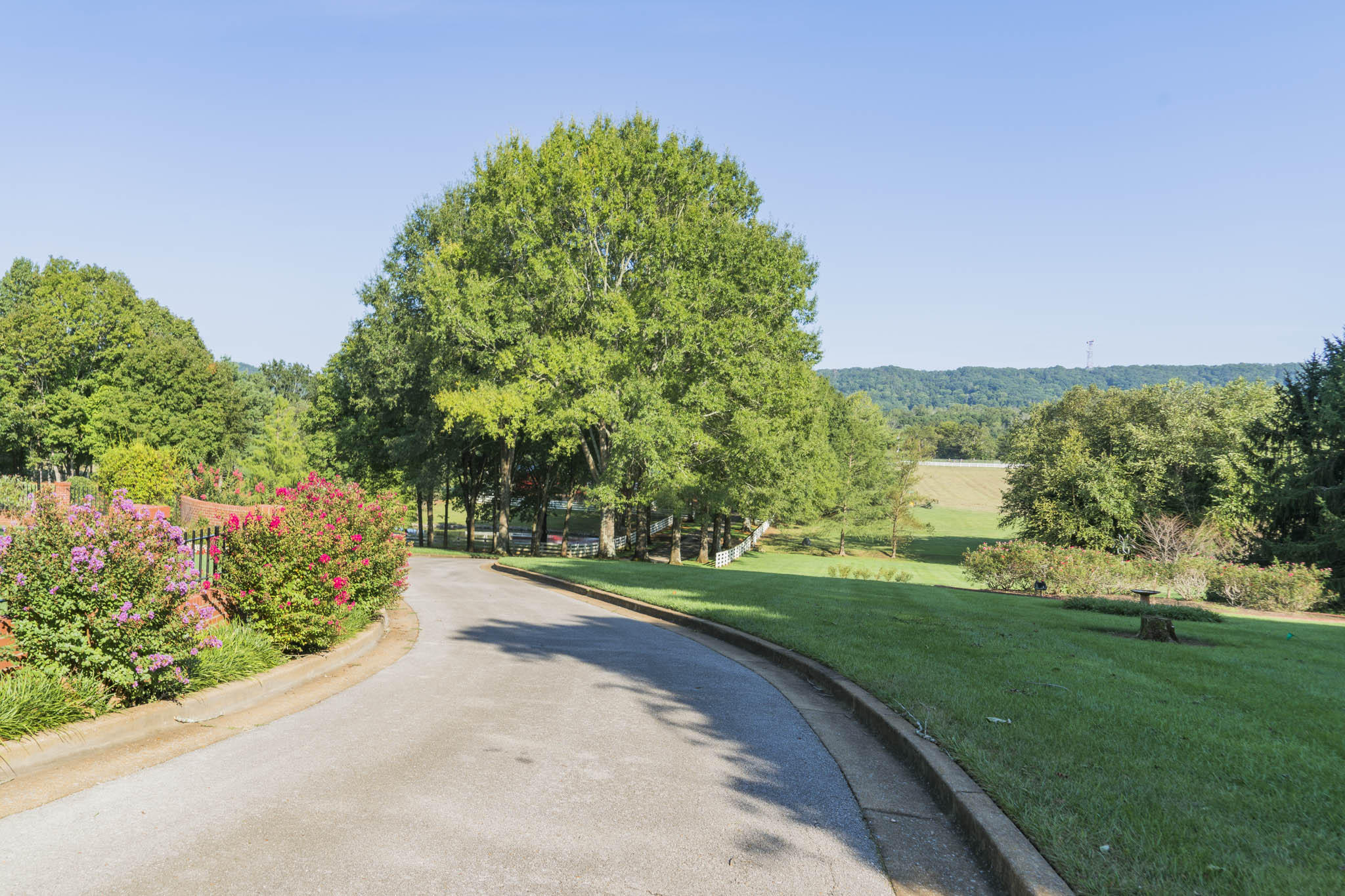 11227 Meadowview Road Georgetown, TN 37336 - Photo 18 of 73 DSC00021