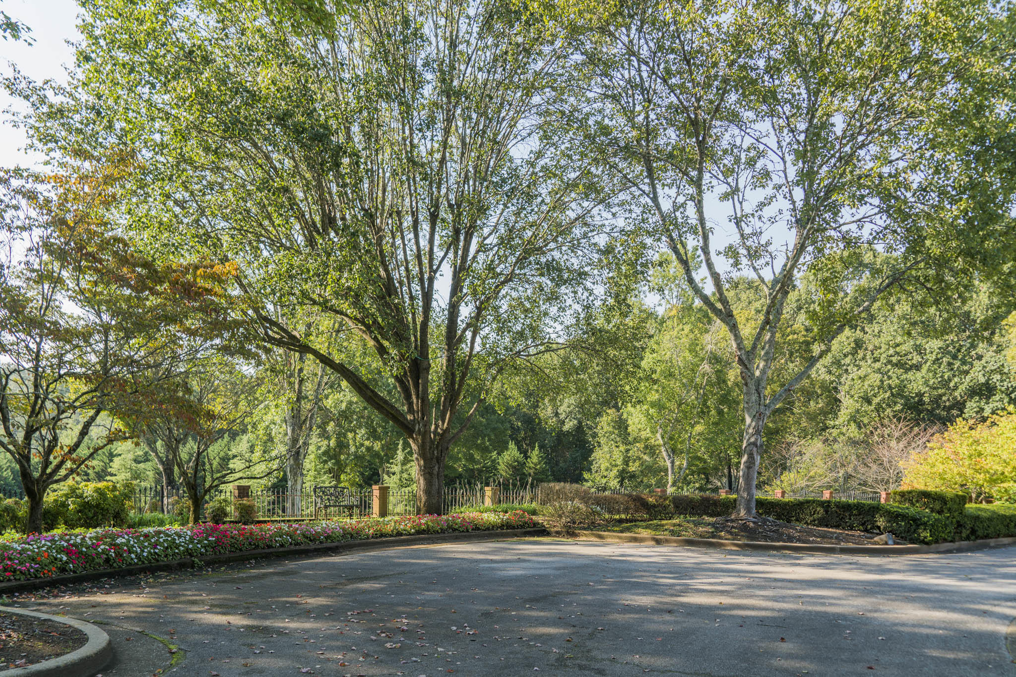 11227 Meadowview Road Georgetown, TN 37336 - Photo 20 of 73 DSC00024