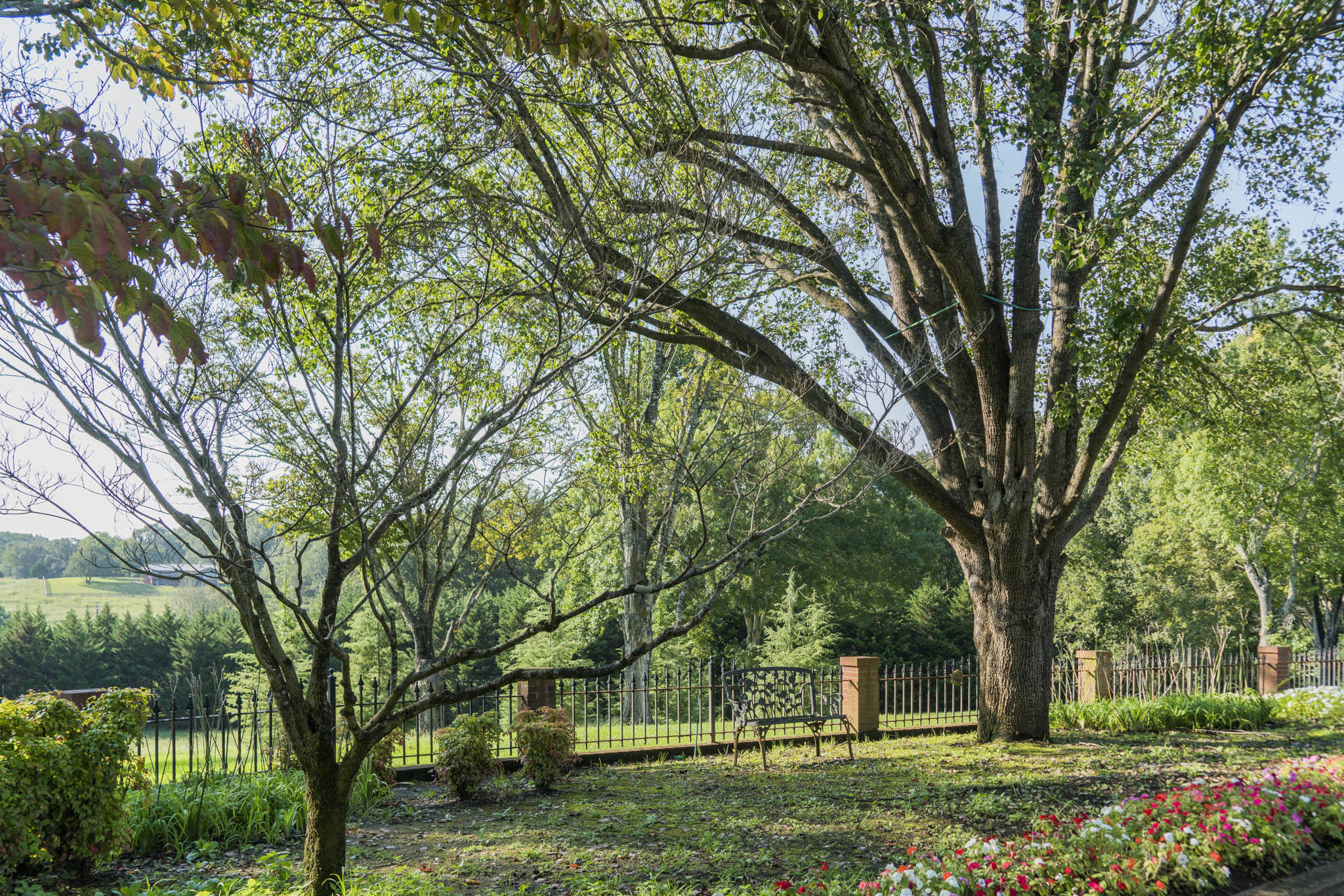 11227 Meadowview Road Georgetown, TN 37336 - Photo 21 of 73 DSC00025