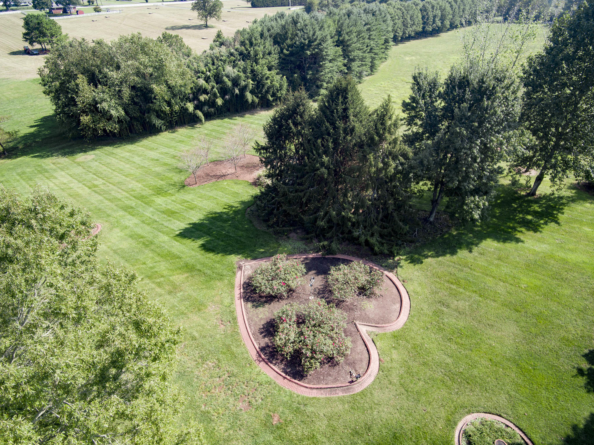 11227 Meadowview Road Georgetown, TN 37336 - Photo 6 of 73 YUN00094