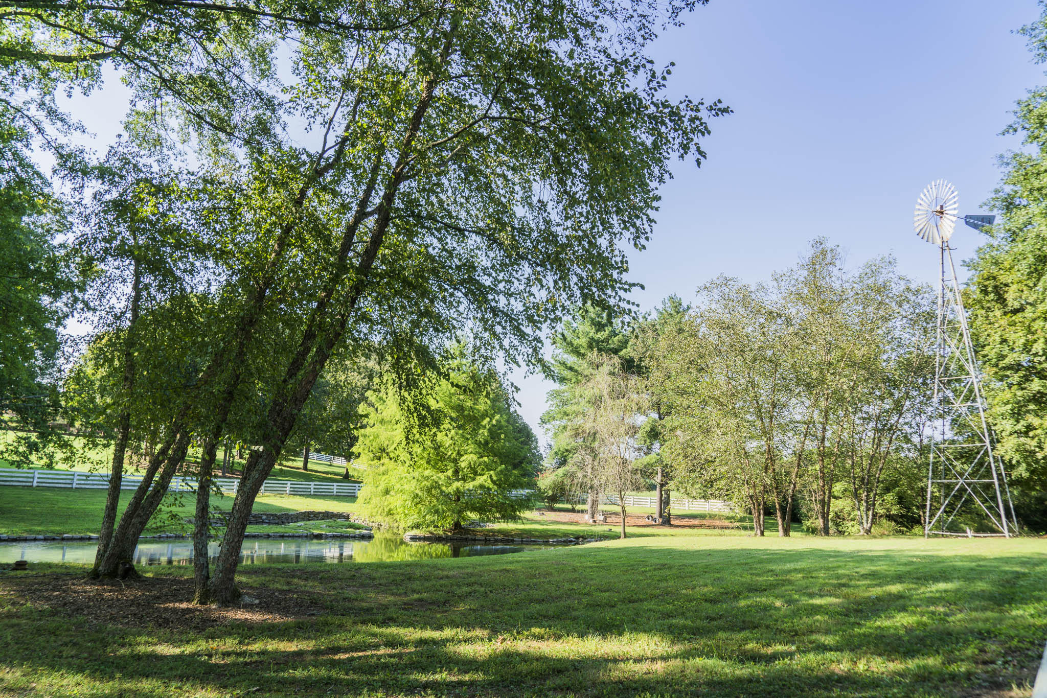 11227 Meadowview Road Georgetown, TN 37336 - Photo 65 of 73 DSC00013