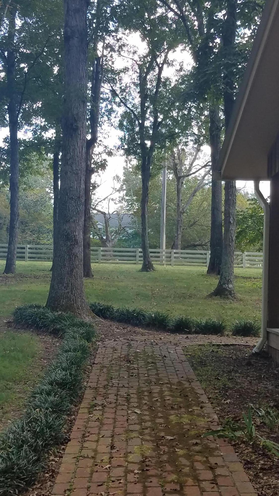 11227 Meadowview Road Georgetown, TN 37336 - Photo 69 of 73 20170926_145209