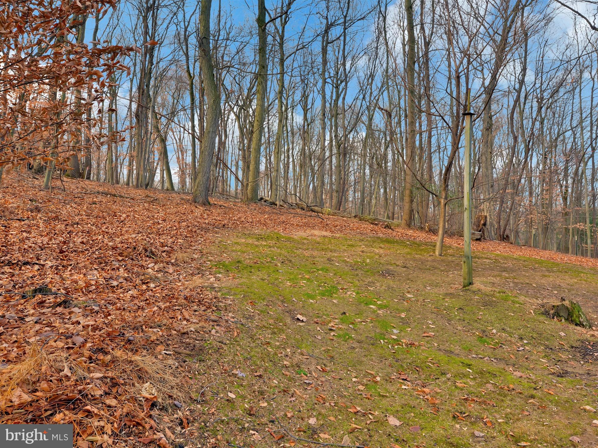 6326 River Road Conestoga, PA 17516 - Photo 24 of 24 Gallery Image 24