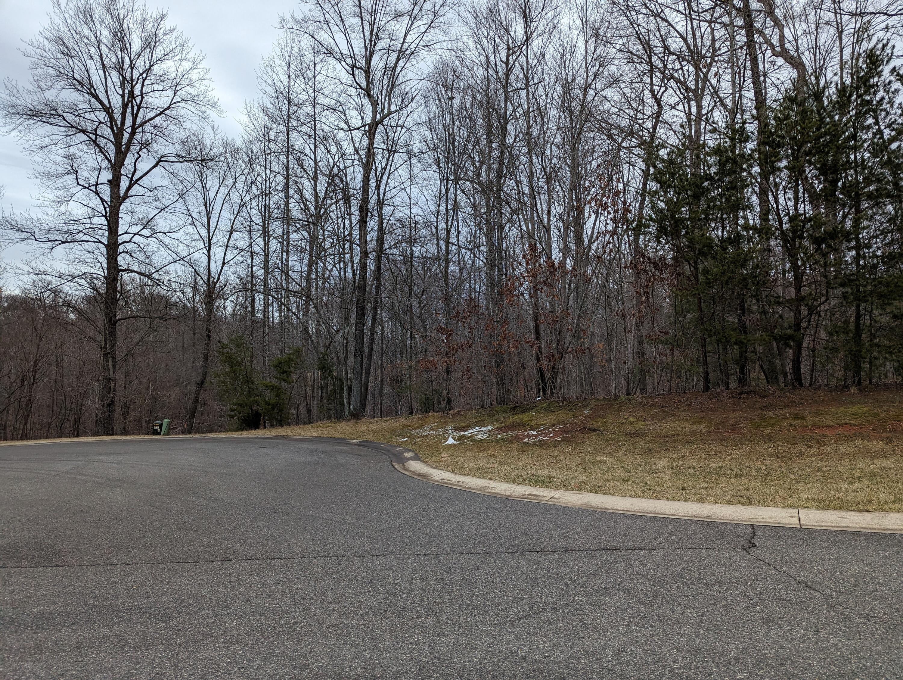 0 Stoney Mill Road Rocky Mount, VA 24151 - Photo 2 of 8 PXL_20240123_220205373