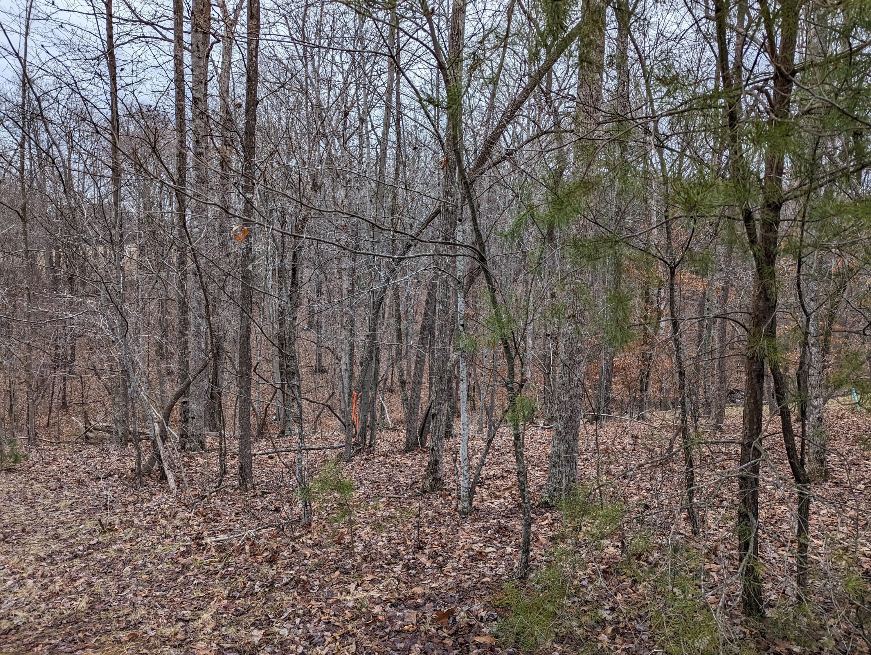 0 Stoney Mill Road Rocky Mount, VA 24151 - Photo 3 of 8 PXL_20240123_220250067