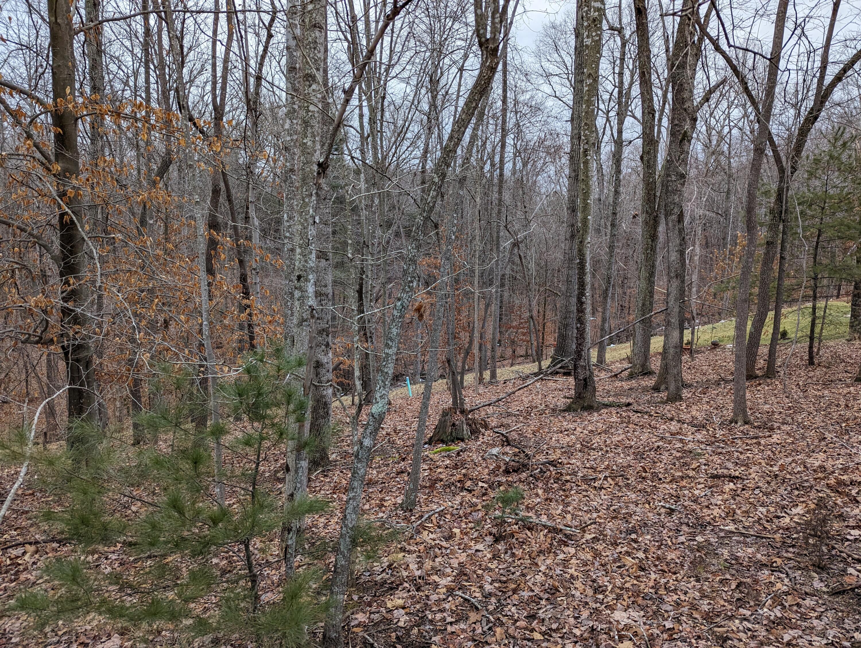 0 Stoney Mill Road Rocky Mount, VA 24151 - Photo 4 of 8 PXL_20240123_220304073