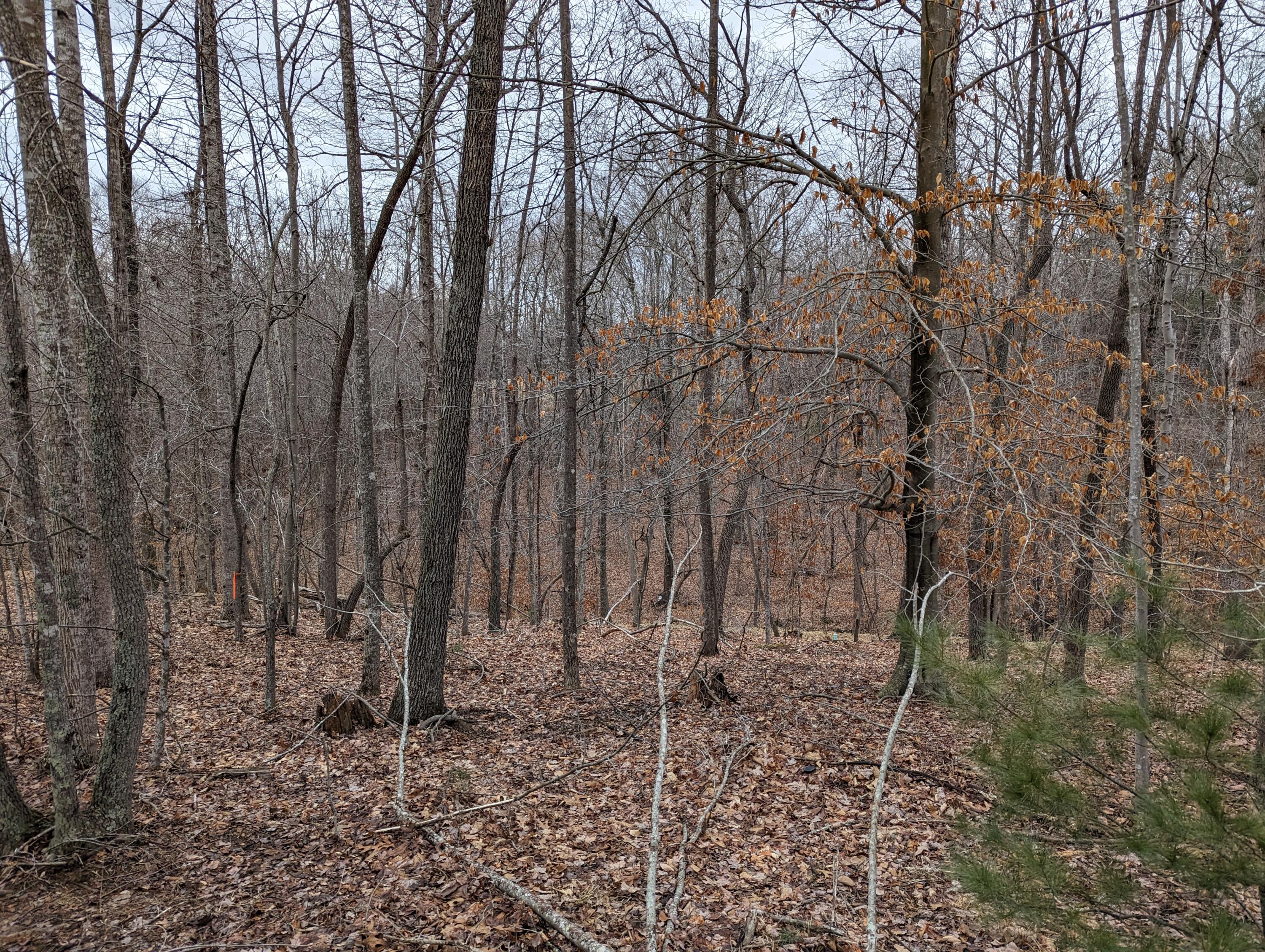 0 Stoney Mill Road Rocky Mount, VA 24151 - Photo 5 of 8 PXL_20240123_220307321