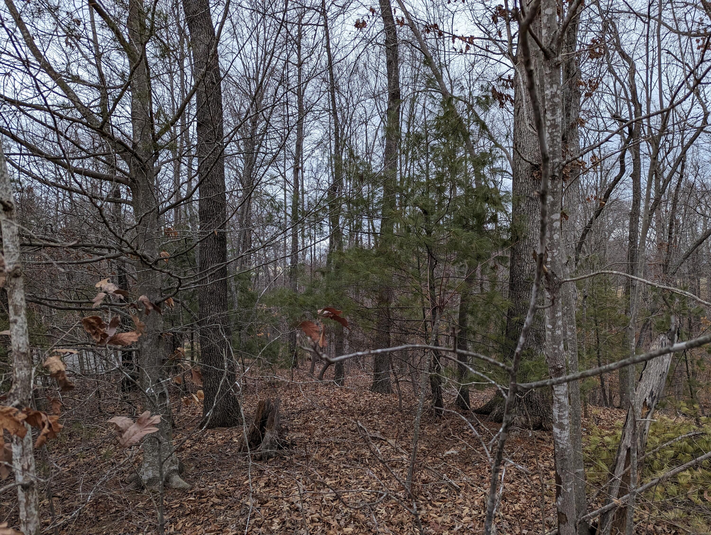 0 Stoney Mill Road Rocky Mount, VA 24151 - Photo 6 of 8 PXL_20240123_220403214