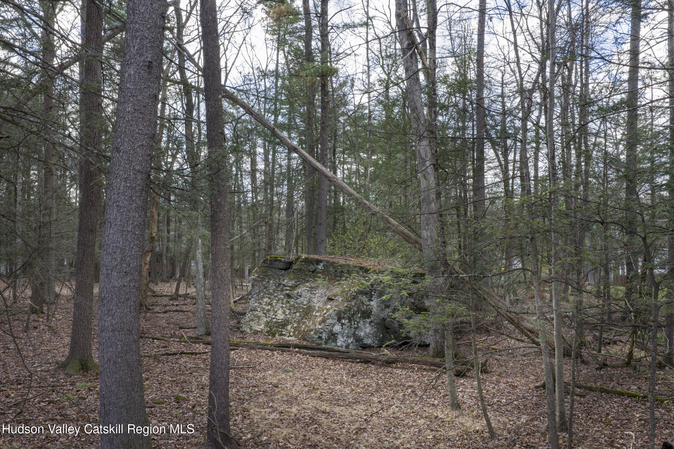 87 Witch Tree Road Woodstock, NY 12498 - Photo 19 of 20 NS.041426.022