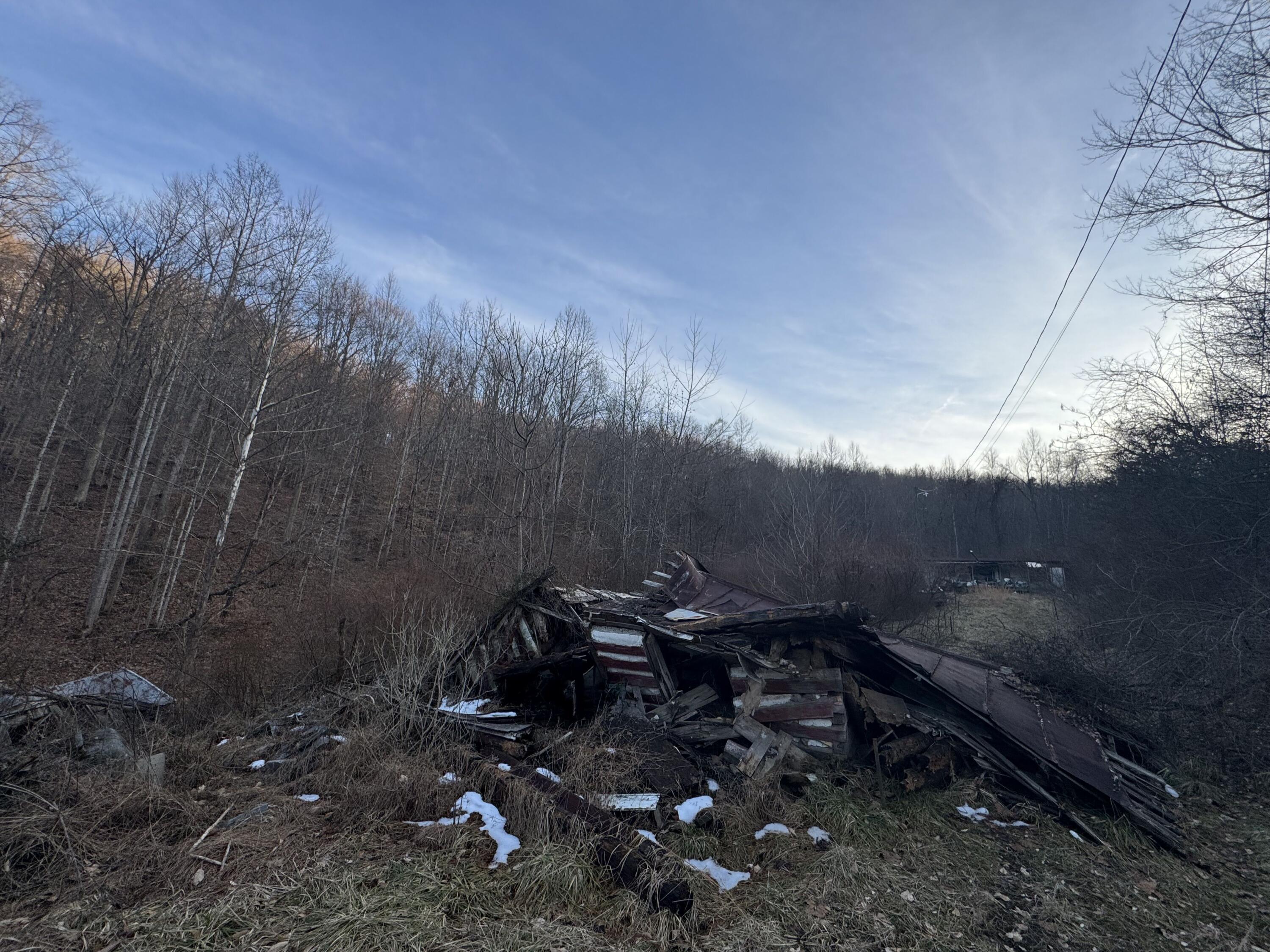 911 Shingles Branch Road East Lynn, WV 25512 - Photo 5 of 11 Gallery Image 5